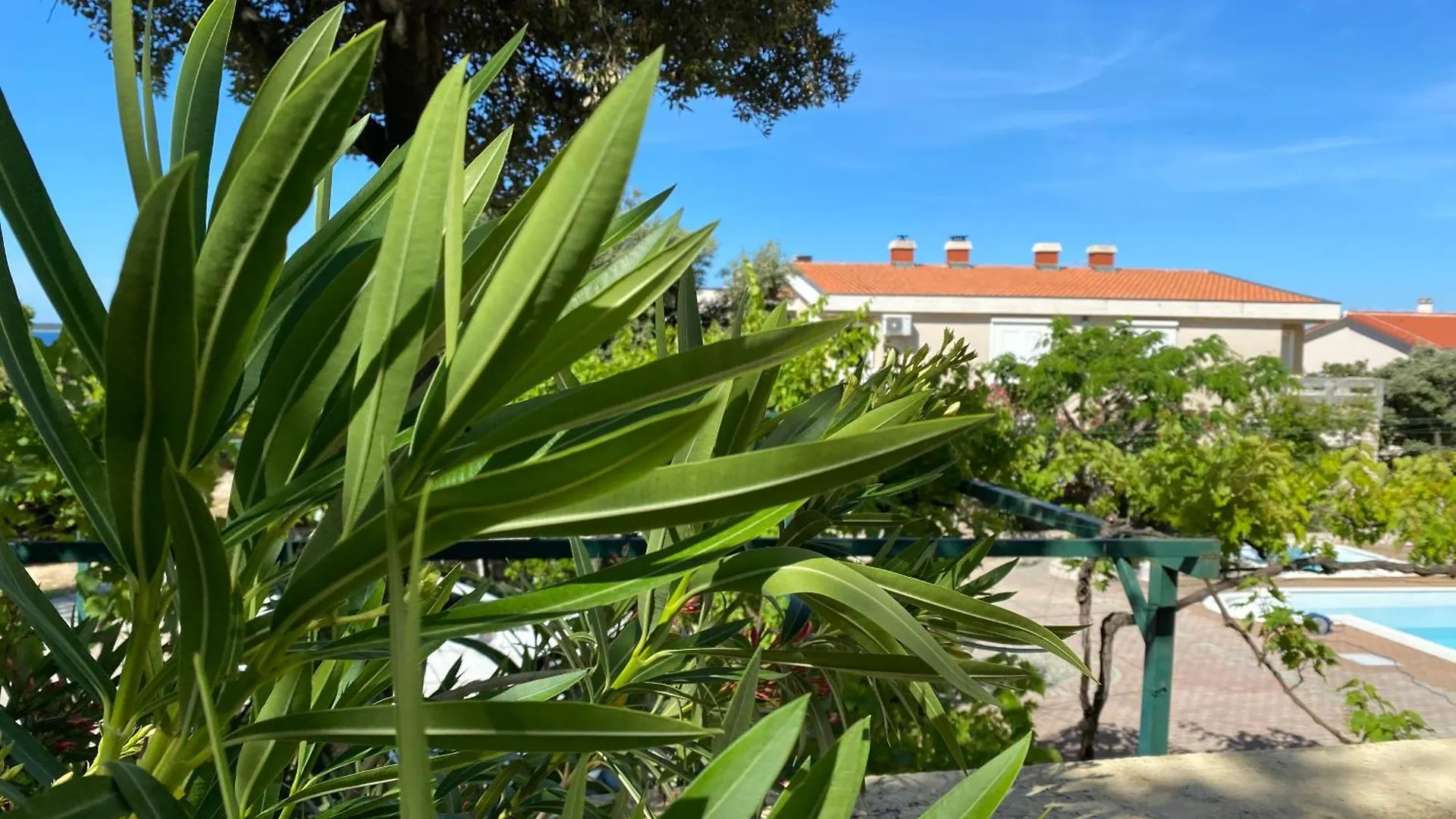 Apartments Villa Ana 1 0*, Mandre